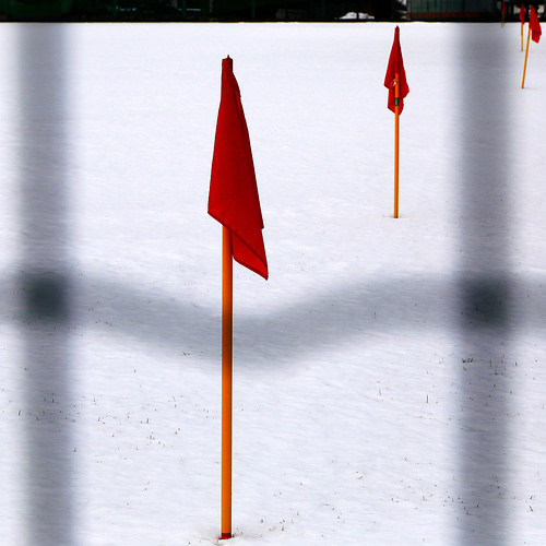 red flags photo