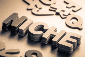 how to find your business niche