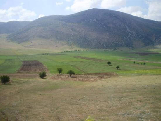 land