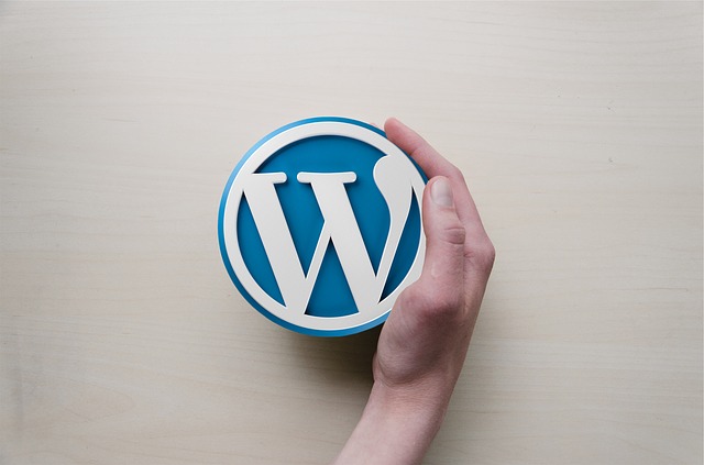 best plugins for new wordpress blog