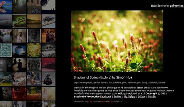 Web Design Apps