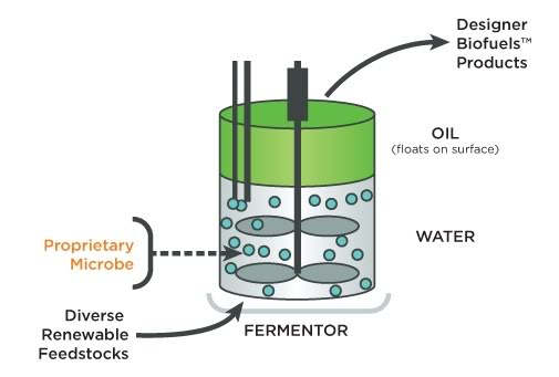 is petroleum renewable