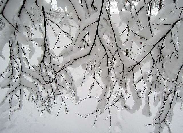  Things to Do On a Snow Day for Adults