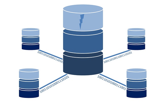 database management system companies